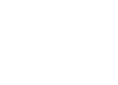 Lemon Food Photography
